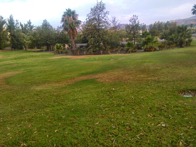 parque tecnologico de malaga