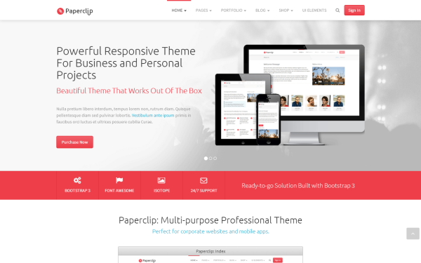 Premium Bootstrap Theme