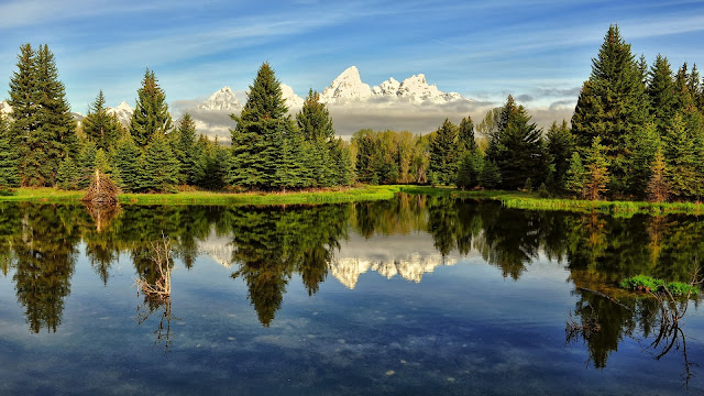 Nature scenery lake trees water reflection HD Wallpaper