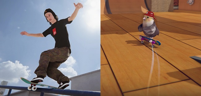 Differences in Skater XL vs Skatebird