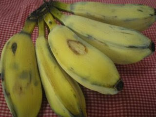 Pisang (Banana)