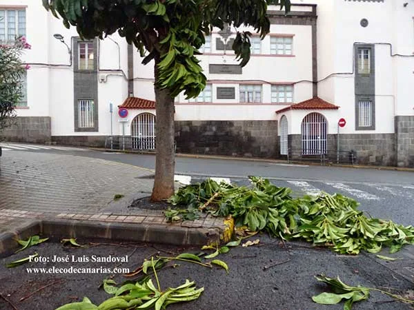 Las clases en Canarias se reanudan después del paso de la borrasca Emma, jueves  1 marzo