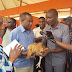 Dodoma- Based Youth Group Introduces Larger Local Chicken Farm To Improve Production