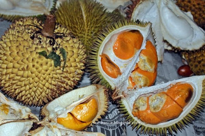 HaSue I Love My Life Durian Kuning  Durian  Oren