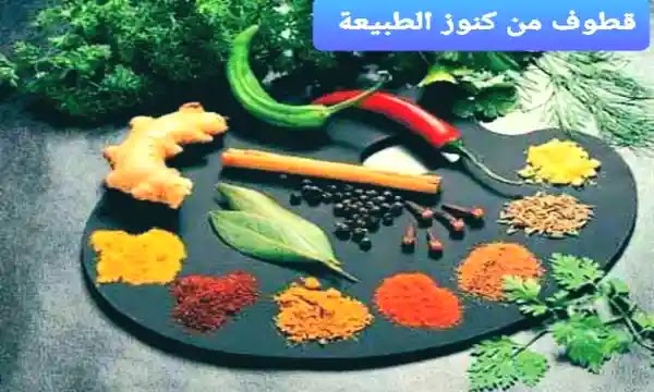 قطوف من كنوز الطبيعة