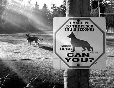 funny-dog-signs-01.jpg