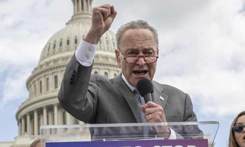 Far Left To Schumer: Uh, Your Stop Kavanaugh Strategy Sucks