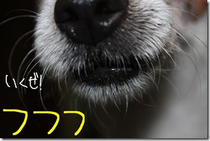 今日カズ１００７１３　４