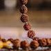 నిజమైన రుద్రాక్షను ఎలా గుర్తించాలి | How to Identify Genuine Rudraksha