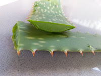 Aloe vera: 3 ways to use it as a beauty product