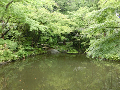  柳原神池