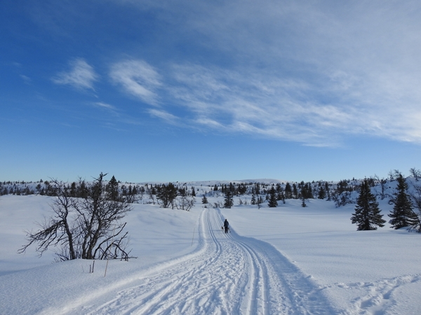 silkevassrunden teinvassåsen reset