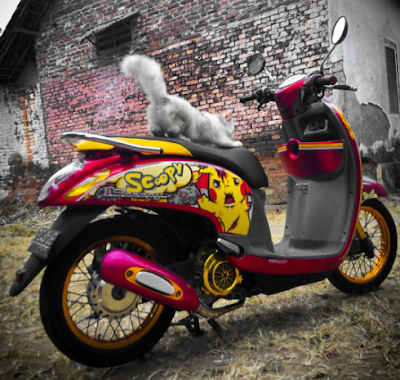 65 Foto Modifikasi Scoopy Cutting Stiker Simple Terbaru