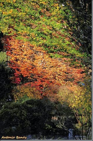 c_DSC8643X1