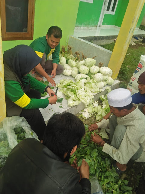 membeli sayuran di pasir datar