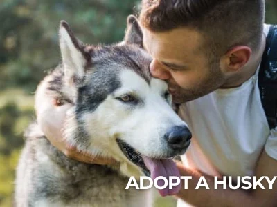 young man kissing a husky concept adopt