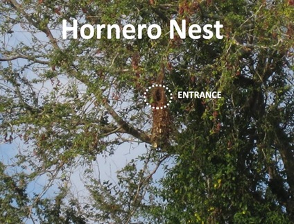 Oven nest