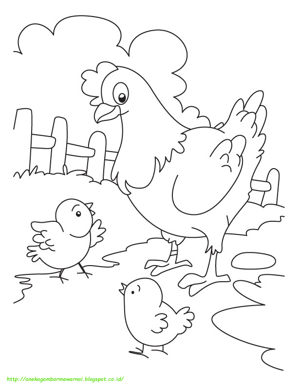 15 Gambar Mewarnai Ayam  Untuk Anak PAUD dan TK
