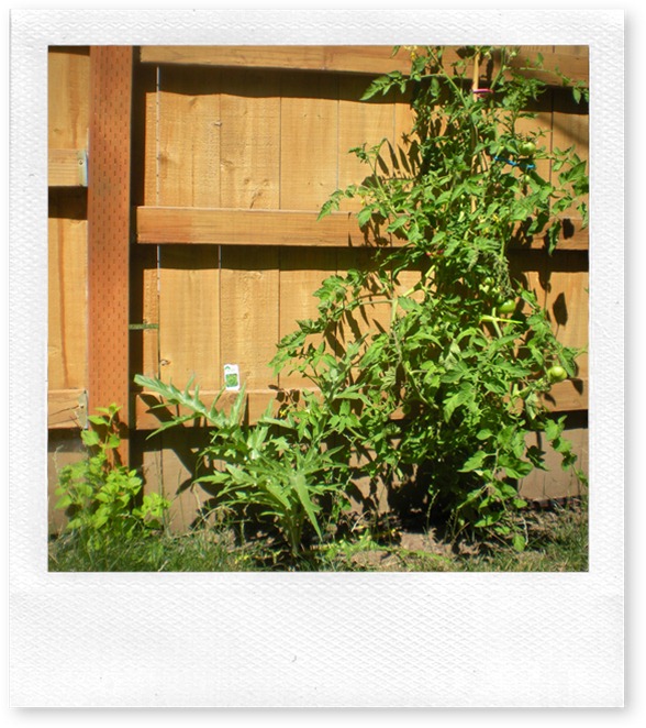DSCN9517