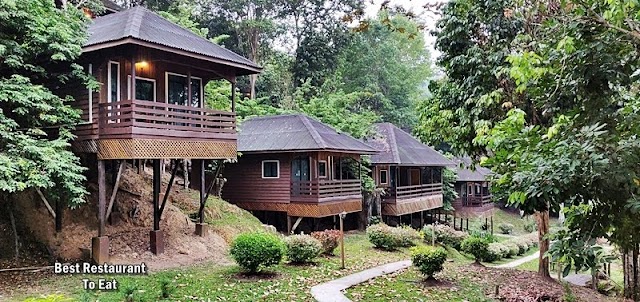 Myne Resort Bilit Sandakan @ Kampung Bilit Kinabatangan River Sabah