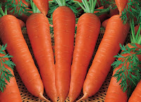 Anti Cancer Fruits and Vegetables - carrots