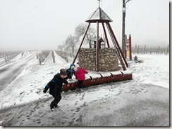 IMG_20180120_140401