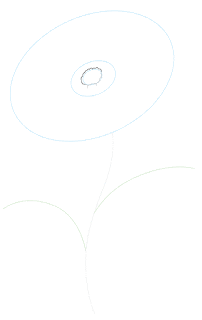 كيفية رسم زهرة الأقحوان في خطوط رسم سهلة