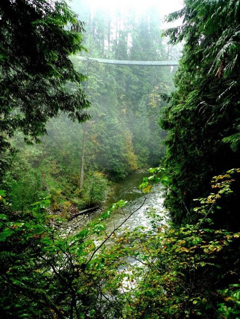 Capilano Suspension Bridge, Vancouver