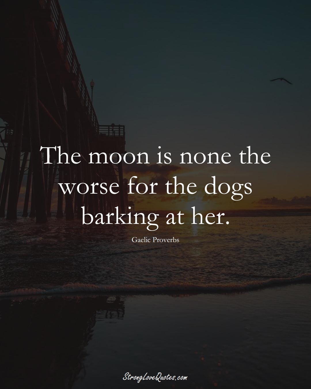 The moon is none the worse for the dogs barking at her. (Gaelic Sayings);  #aVarietyofCulturesSayings