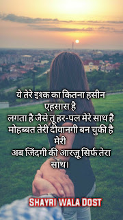 99+ Romantic Couple Shayari In Hindi With Images