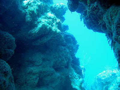 Great Blue Hole, Belize Diving