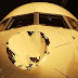 OKC Thunder plane damaged in mid-air; Delta says bird likely responsible