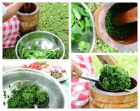 Resep Aneka Masakan Daun Singkong Paling Enak