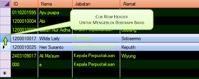 Delete Data rows