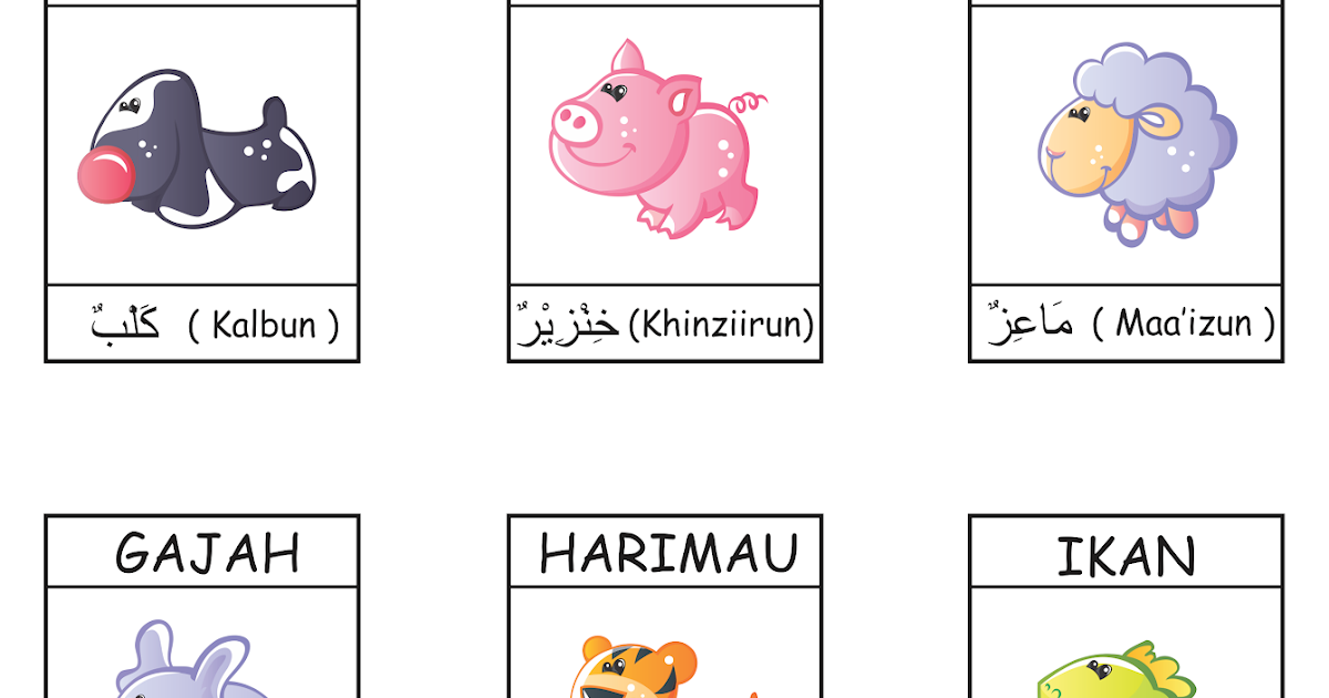 Kosa Kata Nama Nama Hewan Dalam Bahasa Arab Buat 