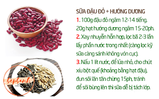 19-cong-thuc-lam-sua-hat-healthy-cach-lam-sua-dau-do-huong-duong