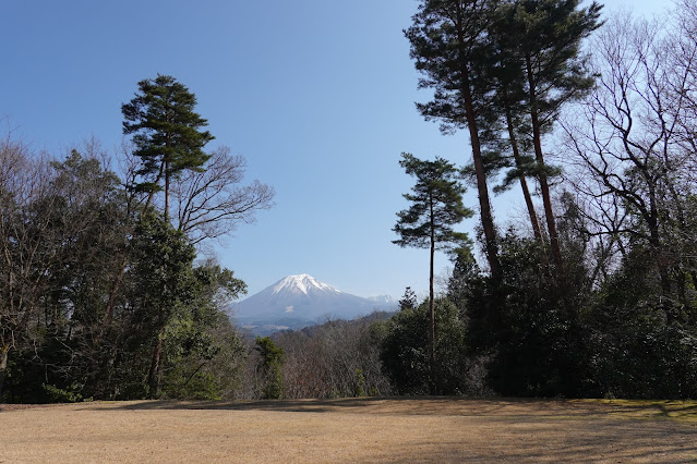 とっとり花回廊　芝生け広場