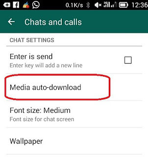 pengaturan media auto download wa