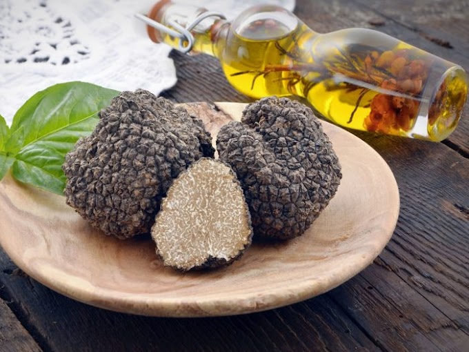 Truffles: The Amazing Health Benefits