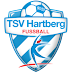 Daftar Skuad Pemain TSV Hartberg 2025/2026