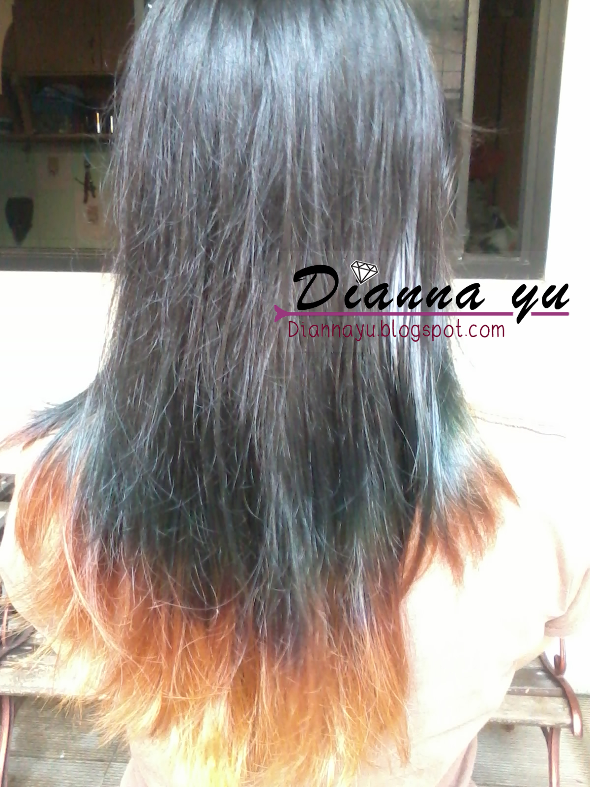 DIY REVIEW Yuk Ombre Hair Di Rumah Dianna Yu