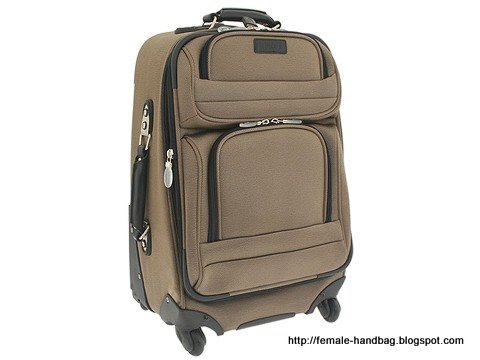 Female-handbag:female-1219260