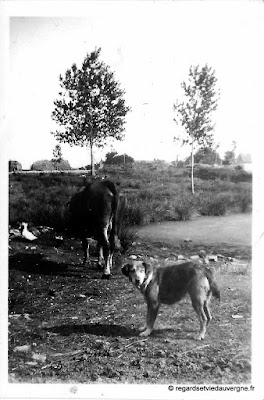 Photo ancienne d'Auvergne : lieux divers.