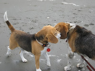 Boy meets girl on beach