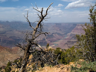 Click for Larger Image of the Colorado River