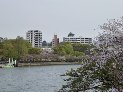 桜之宮公園の桜並木　大阪城