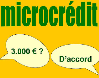 microcredit france