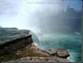 Buffalo-11