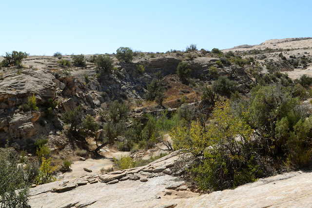 more trail down below