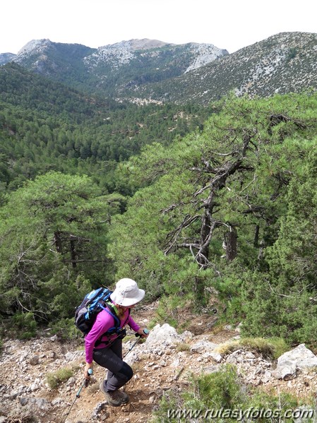 Pico Blanquillo (Sierras de Cazorla, Segura y Las Villas